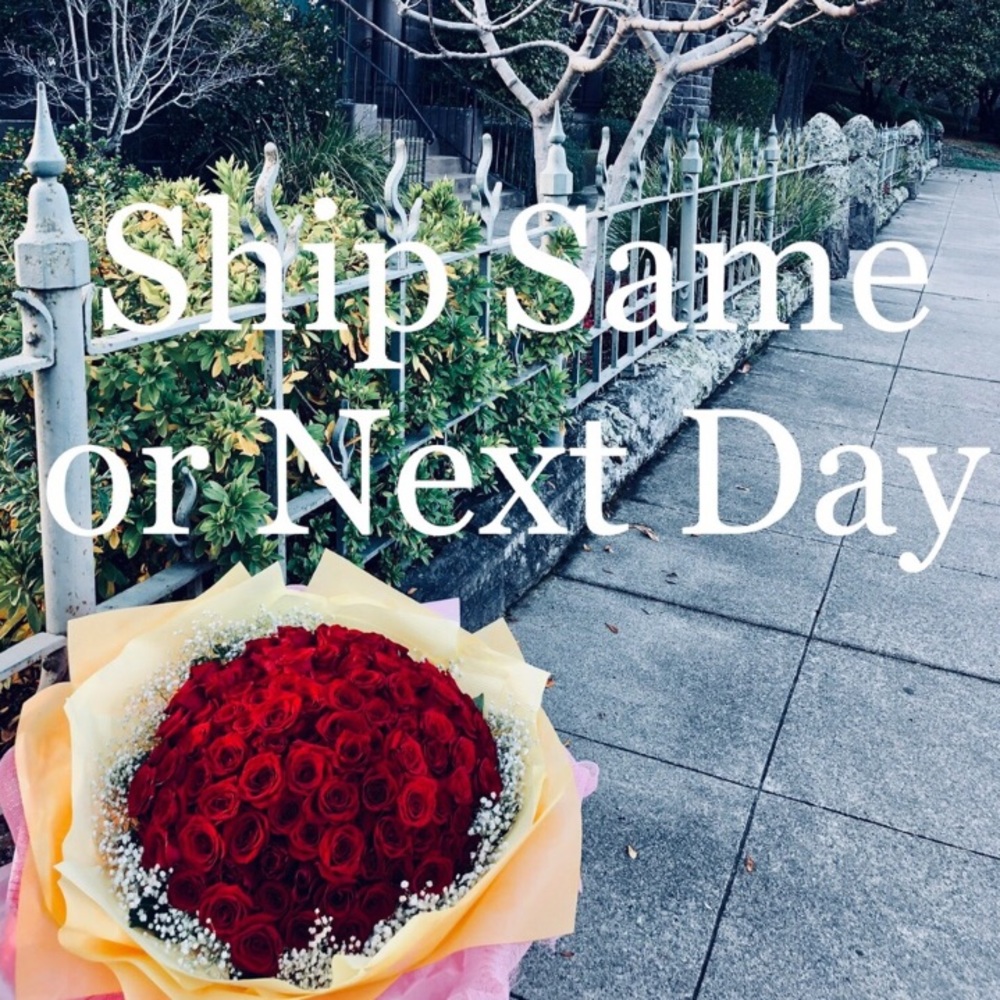 🛍 I ship same day or next day !! 🛍🛍